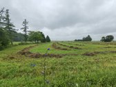 Ribojasi su mišku ir Ulyško upeliu  Statybos - nuotraukos Nr. 3