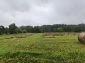 Ribojasi su mišku ir Ulyško upeliu, statybos - nuotraukos Nr. 4