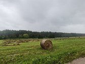 Ribojasi su mišku ir Ulyško upeliu, statybos - nuotraukos Nr. 5