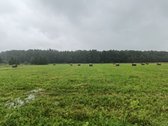 Ribojasi su mišku ir Ulyško upeliu, statybos - nuotraukos Nr. 6