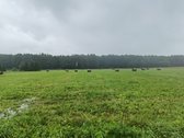 Ribojasi su mišku ir Ulyško upeliu, statybos - nuotraukos Nr. 7