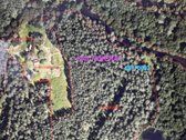 Parduodamas apie 4 ha miško ūkio paskirties - nuotraukos Nr. 3