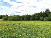 Parduodami 2 besiribojantys sklypai Molėtų r. - nuotraukos Nr. 2