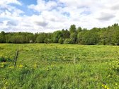 Parduodami 2 besiribojantys sklypai Molėtų r. - nuotraukos Nr. 3