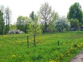 Parduodami 2 besiribojantys sklypai Molėtų r. - nuotraukos Nr. 6