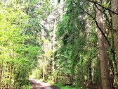 Parduodami 2 besiribojantys sklypai Molėtų r. - nuotraukos Nr. 9