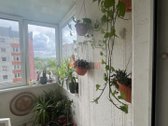 Klaipėdoje, Ryšininkų g. blokinio namo 7/9 - nuotraukos Nr. 6