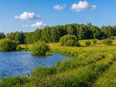 Klaipėdos r., Grikšų k. parduodamas 51,85 arų - nuotraukos Nr. 4
