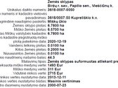 Miško 10-20 metų jaunuolynas Vieščiūnų k. - nuotraukos Nr. 3