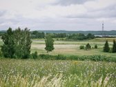 51,16 arų namų valda Peliūnuose, Miško g. 7. - nuotraukos Nr. 3