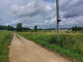51,16 arų namų valda Peliūnuose, Miško g. 7. - nuotraukos Nr. 5
