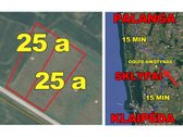Du suformuoti sklypai (24,94 a ir 24,84 a)