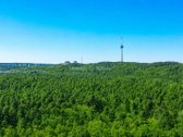 Parduodamas Namas Su 4,43 A Sklypo Dalimi - nuotraukos Nr. 10