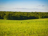 Parduodamas 5.7ha Dirbamas Žemės Ūkio - nuotraukos Nr. 14