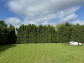 Savininkų parduodamas išskirtinai jaukus ir - nuotraukos Nr. 4