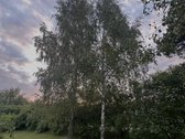 Savininkų parduodamas išskirtinai jaukus ir - nuotraukos Nr. 5