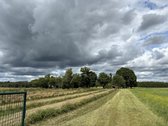 Parduodama Sodyba Su 2 Ha Žemės, Poilsio - nuotraukos Nr. 7