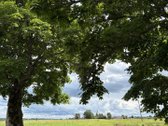 Parduodama Sodyba Su 2 Ha Žemės, Poilsio - nuotraukos Nr. 10