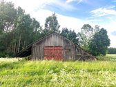 Sodyba prie miško. Parduodama 1 ha namų - nuotraukos Nr. 3