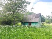 Sodyba prie miško. Parduodama 1 ha namų