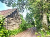 Sodyba prie miško. Parduodama 1 ha namų - nuotraukos Nr. 4