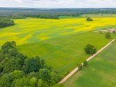 Parduodamas 2.4426 Ha Ploto Žemės Ūkio - nuotraukos Nr. 2