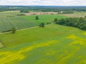 Parduodamas 2.4426 Ha Ploto Žemės Ūkio - nuotraukos Nr. 9