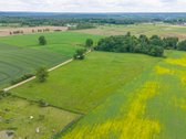 Parduodamas 2.4426 Ha Ploto Žemės Ūkio - nuotraukos Nr. 10
