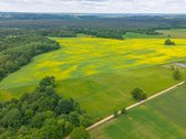 Parduodamas 2.4426 Ha Ploto Žemės Ūkio - nuotraukos Nr. 16