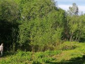 Išnuomojamas 91a sklypas šalia Maišiagalos - nuotraukos Nr. 2
