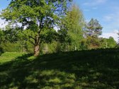 Išnuomojamas 91a sklypas šalia Maišiagalos - nuotraukos Nr. 3