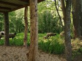 Išnuomojamas 91a sklypas šalia Maišiagalos - nuotraukos Nr. 6