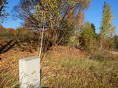 Išnuomojamas 91a sklypas šalia Maišiagalos - nuotraukos Nr. 8