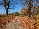 Išnuomojamas 91a sklypas šalia Maišiagalos - nuotraukos Nr. 9