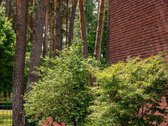 Savo ateities namus pasieksite naujuoju - nuotraukos Nr. 21