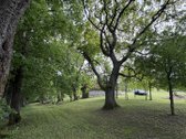 Išskirtinė sodyba gamtos apsuptyje su 2,5 ha - nuotraukos Nr. 6