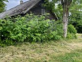 Parduodama sodyba, Zarasų r., sav., Dusetų