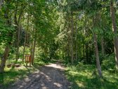 Parduodami namų valdos sklypai Didžiojoje - nuotraukos Nr. 10