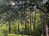 Parduodamas unikalus sklypas besiribojantis - nuotraukos Nr. 2