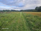 Parduodami 14 vnt. namų valdos žemės sklypai - nuotraukos Nr. 7