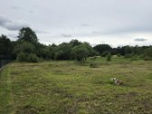Parduodami du sklypai kartu su namu po 9 arus - nuotraukos Nr. 4