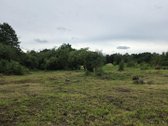 Parduodami du sklypai kartu su namu po 9 arus - nuotraukos Nr. 5