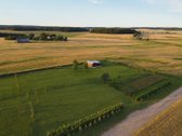 Parduodamas namų valdos sklypas 32 a,ir su - nuotraukos Nr. 3
