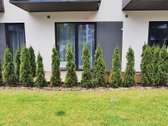 Parduodamas jaukus, pilnai įrengtas būtas su - nuotraukos Nr. 22