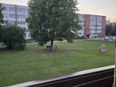 Nuomojamas jaukus 3 kambarių butas, įsikūręs