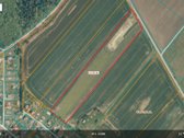Parduodamas pigiai 1,67 ha žemės sklypas - nuotraukos Nr. 3