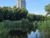 Parduodamas trijų kambarių butas su balkonu - nuotraukos Nr. 39