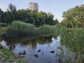 Parduodamas trijų kambarių butas su balkonu - nuotraukos Nr. 40