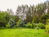 Vienoje gražiausių Kauno vietų – Romainiuose, - nuotraukos Nr. 35