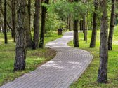 Ieškote namų, kuriuose dera modernus - nuotraukos Nr. 25